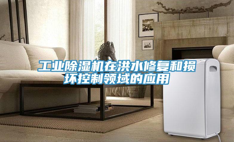 工业泡芙短视频APP官方下载地址在洪水修复和损坏控制领域的应用