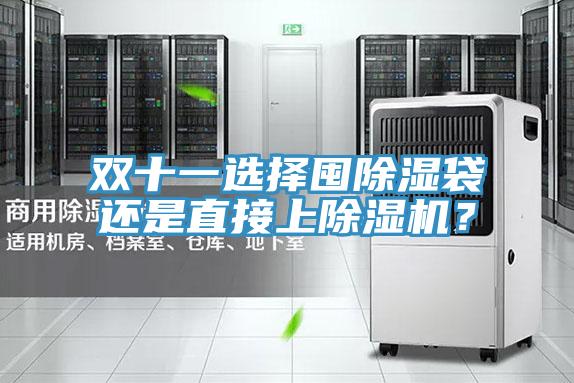 双十一选择囤除湿袋还是直接上泡芙短视频APP官方下载地址？