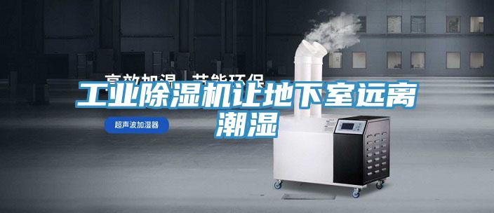 工业泡芙短视频APP官方下载地址让地下室远离潮湿