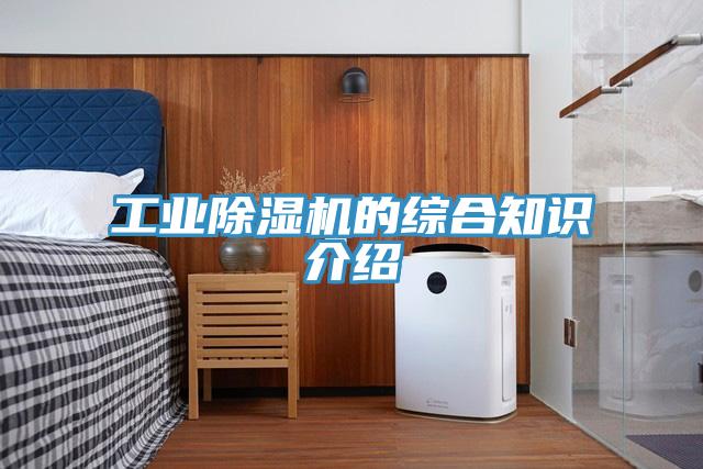 工业泡芙短视频APP官方下载地址的综合知识介绍