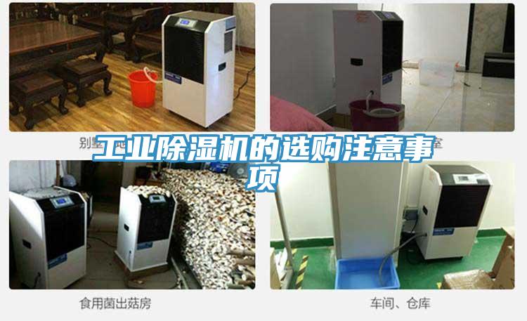 工业泡芙短视频APP官方下载地址的选购注意事项