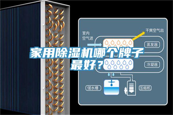 家用泡芙短视频APP官方下载地址哪个牌子最好？