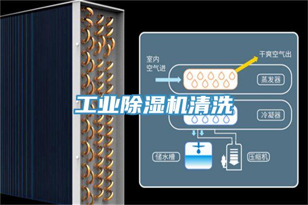 工业泡芙短视频APP官方下载地址清洗