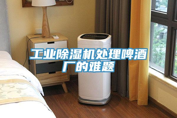 工业泡芙短视频APP官方下载地址处理啤酒厂的难题