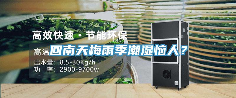 回南天梅雨季潮湿恼人？