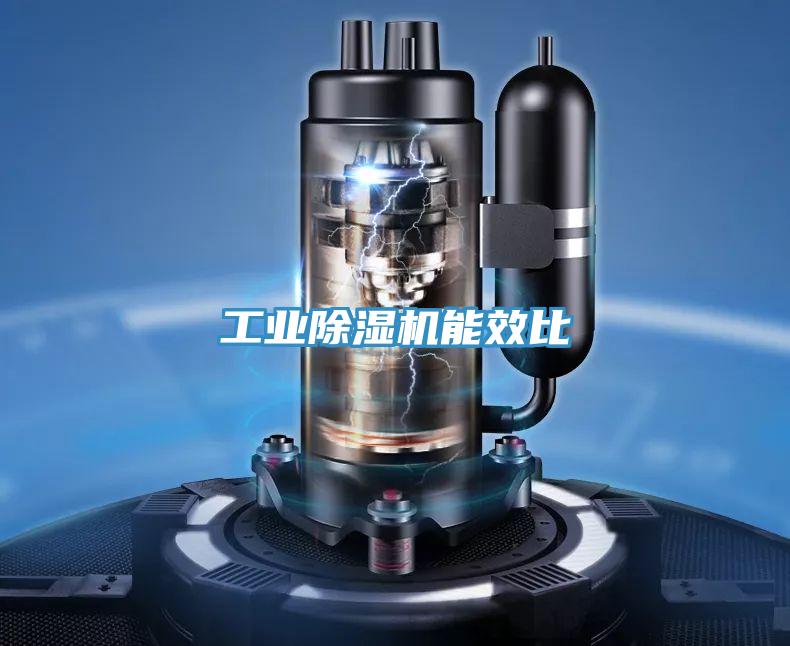 工业泡芙短视频APP官方下载地址能效比