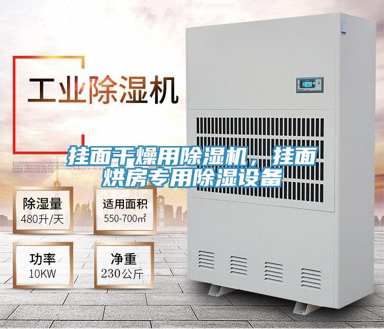 挂面干燥用泡芙短视频APP官方下载地址，挂面烘房专用除湿设备