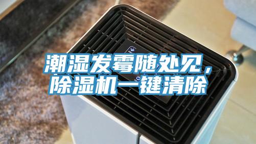 潮湿发霉随处见，泡芙短视频APP官方下载地址一键清除