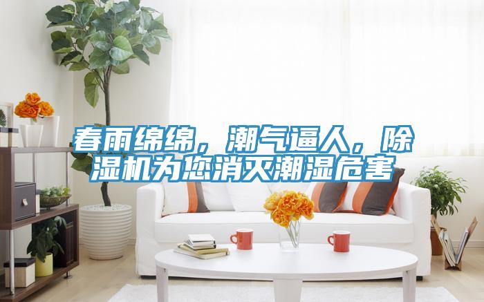 春雨绵绵，潮气逼人，泡芙短视频APP官方下载地址为您消灭潮湿危害