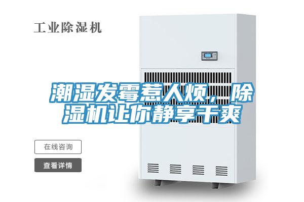 潮湿发霉惹人烦，泡芙短视频APP官方下载地址让你静享干爽