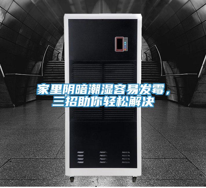 家里阴暗潮湿容易发霉，三招助你轻松解决