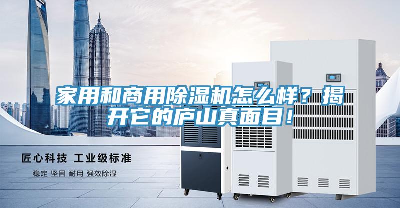 家用和商用泡芙短视频APP官方下载地址怎么样？揭开它的庐山真面目！