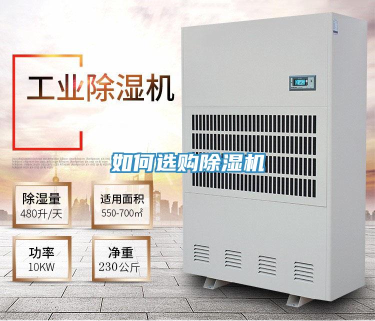 如何选购泡芙短视频APP官方下载地址