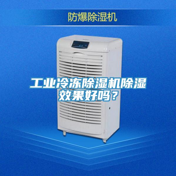 工业冷冻泡芙短视频APP官方下载地址除湿效果好吗？