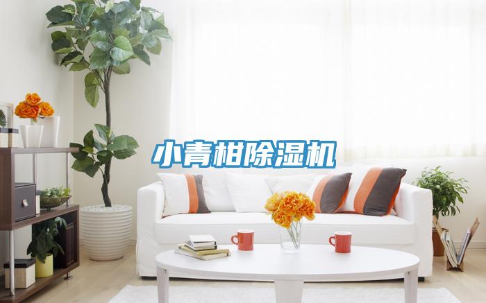 小青柑泡芙短视频APP官方下载地址