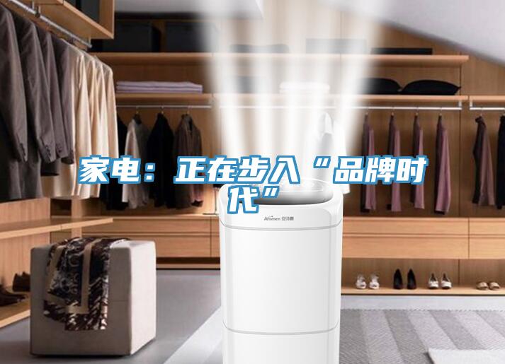 家电：正在步入“品牌时代”