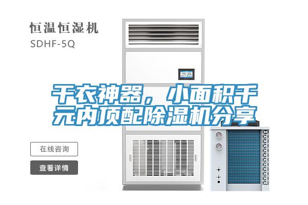 干衣神器，小面积千元内顶配泡芙短视频APP官方下载地址分享