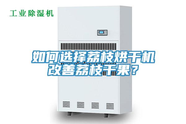 如何选择荔枝烘干机改善荔枝干果？