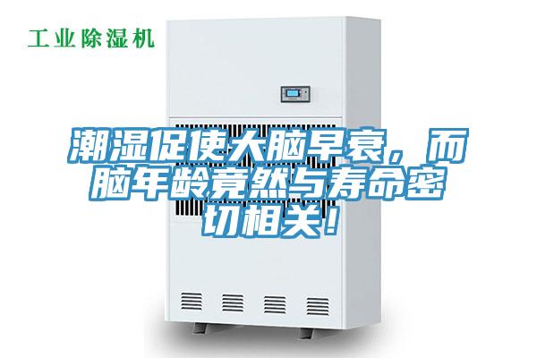 潮湿促使大脑早衰，而脑年龄竟然与寿命密切相关！