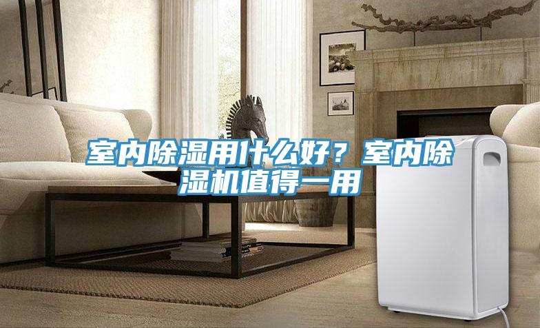 室内除湿用什么好？室内泡芙短视频APP官方下载地址值得一用