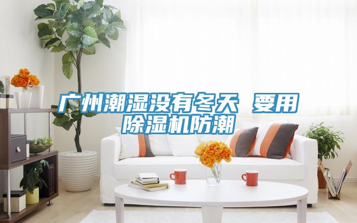 广州潮湿没有冬天 要用泡芙短视频APP官方下载地址防潮