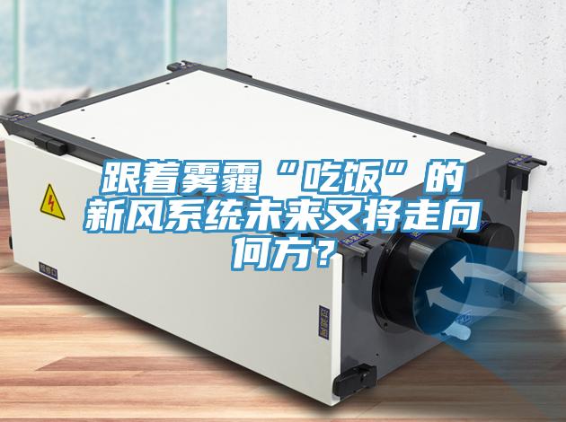 跟着雾霾“吃饭”的新风系统未来又将走向何方？