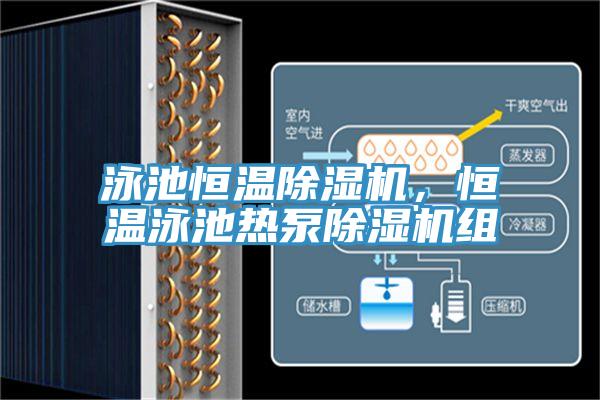 泳池恒温泡芙短视频APP官方下载地址，恒温泳池热泵泡芙短视频APP官方下载地址组