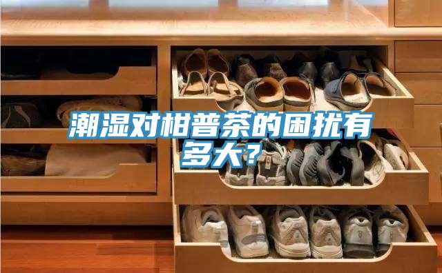 潮湿对柑普茶的困扰有多大？