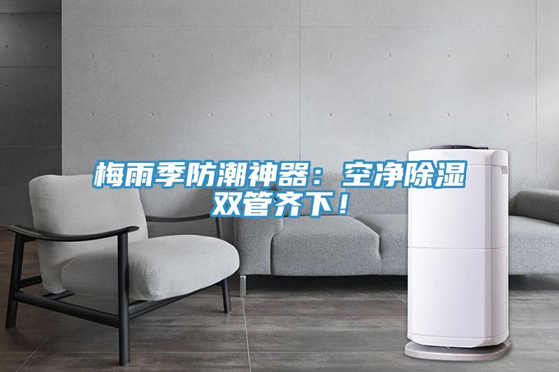 梅雨季防潮神器：空净除湿双管齐下！