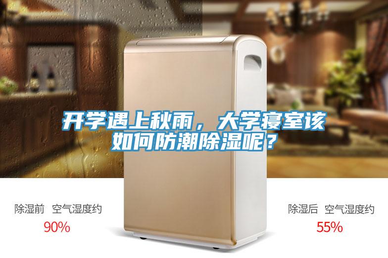 开学遇上秋雨，大学寝室该如何防潮除湿呢？