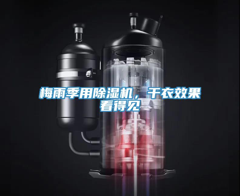 梅雨季用泡芙短视频APP官方下载地址，干衣效果看得见