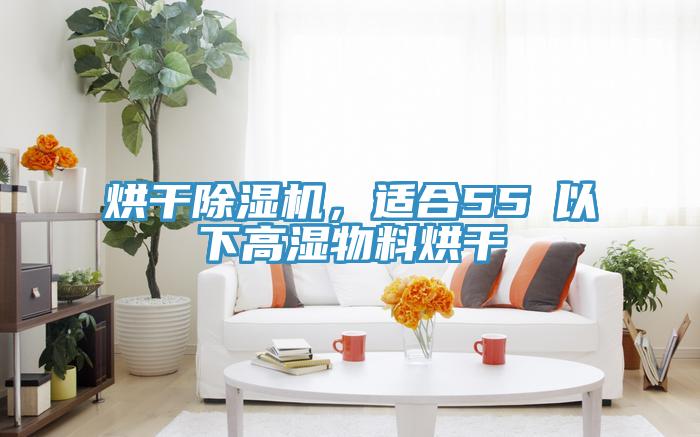 烘干泡芙短视频APP官方下载地址，适合55℃以下高湿物料烘干