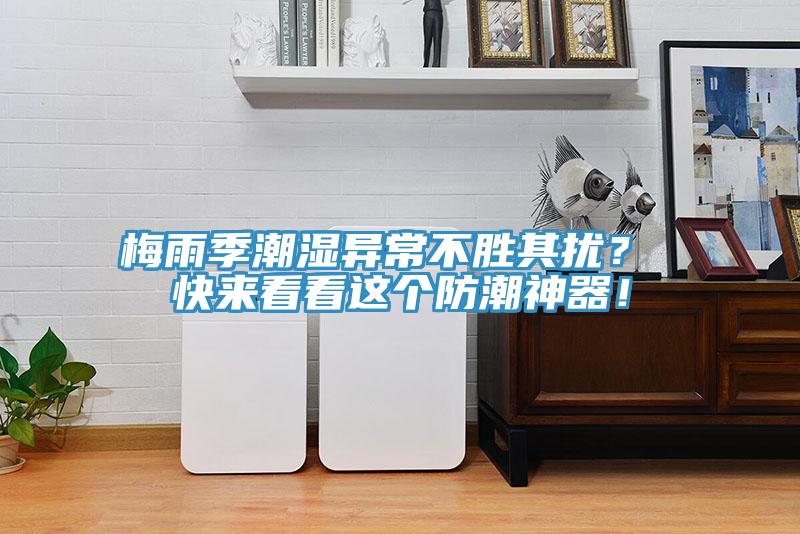 梅雨季潮湿异常不胜其扰？ 快来看看这个防潮神器！