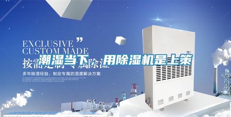 潮湿当下，用泡芙短视频APP官方下载地址是上策