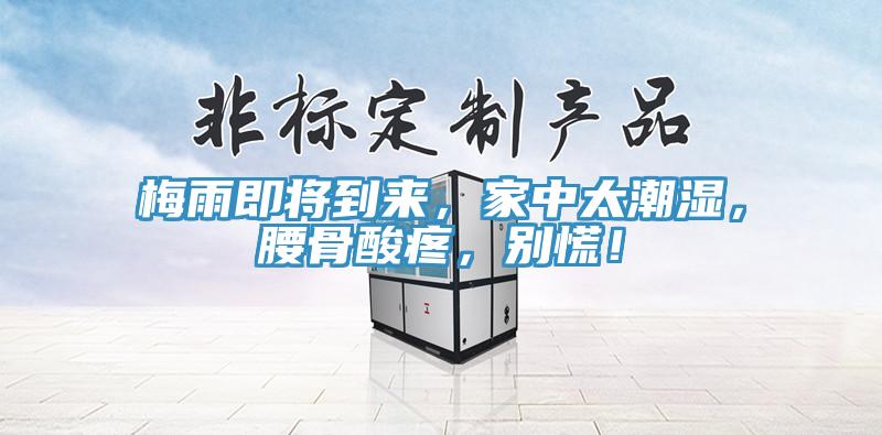 梅雨即将到来，家中太潮湿，腰骨酸疼，别慌！