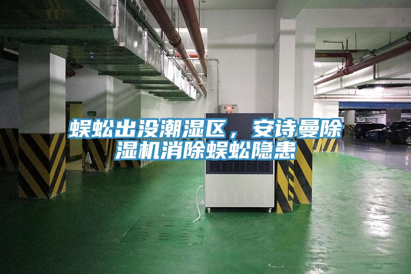 蜈蚣出没潮湿区，泡芙短视频APP安装泡芙短视频APP官方下载地址消除蜈蚣隐患