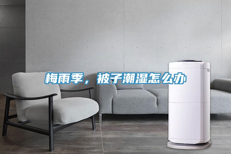 梅雨季，被子潮湿怎么办