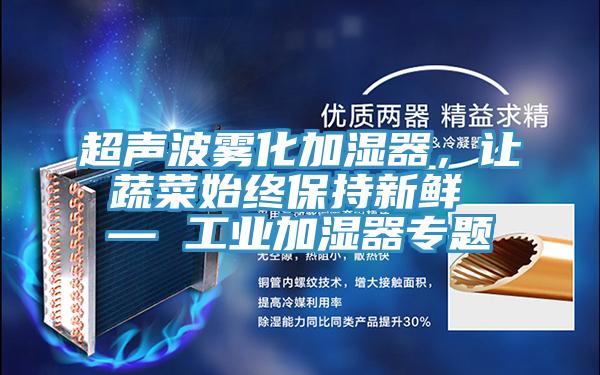 超声波雾化加湿器，让蔬菜始终保持新鲜 — 工业加湿器专题