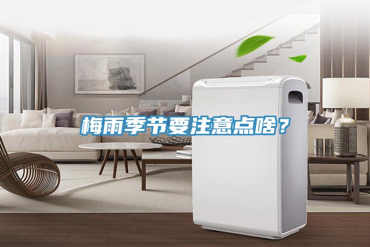 梅雨季节要注意点啥？