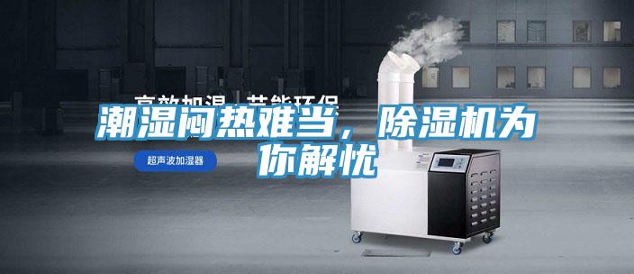 潮湿闷热难当，泡芙短视频APP官方下载地址为你解忧