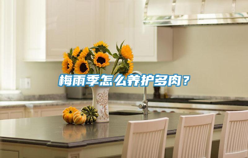 梅雨季怎么养护多肉？