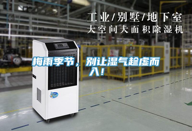 梅雨季节，别让湿气趁虚而入！