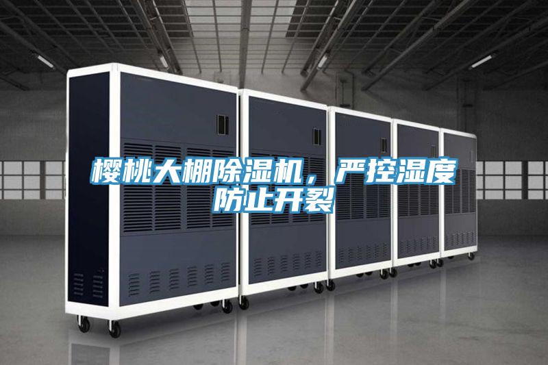 樱桃大棚泡芙短视频APP官方下载地址，严控湿度防止开裂