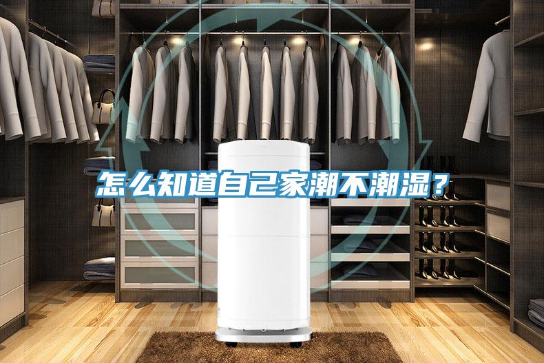 怎么知道自己家潮不潮湿？