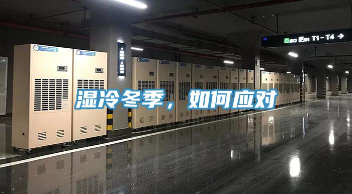 湿冷冬季，如何应对