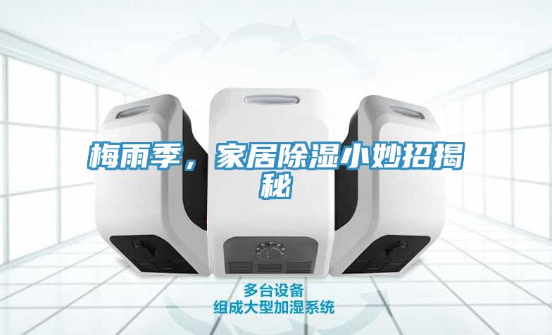 梅雨季，家居除湿小妙招揭秘