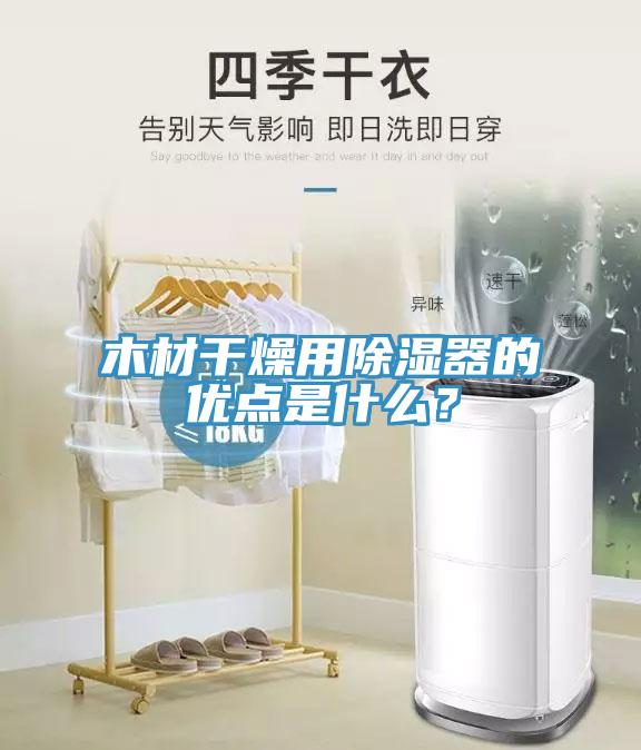 木材干燥用除湿器的优点是什么？