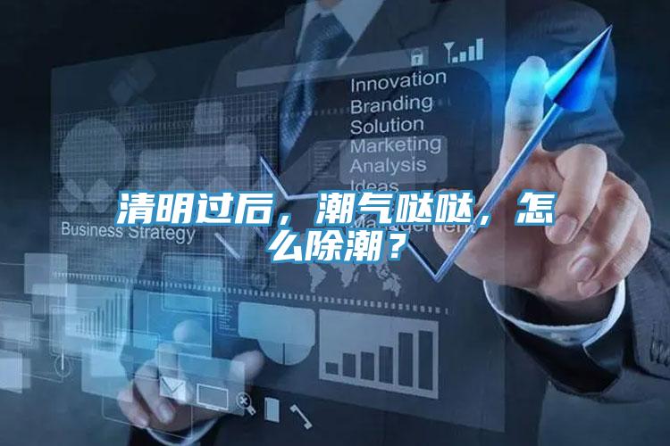 清明过后，潮气哒哒，怎么除潮？