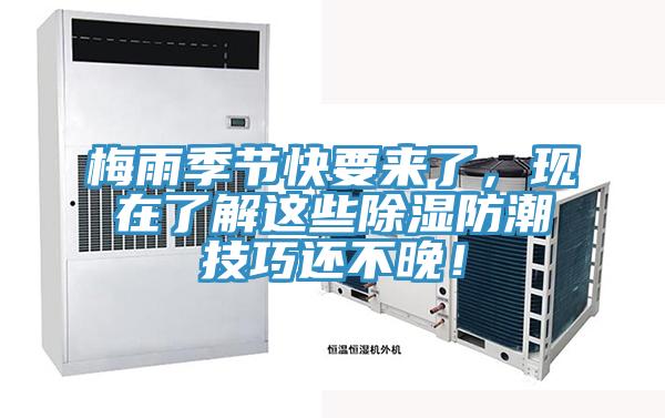 梅雨季节快要来了，现在了解这些除湿防潮技巧还不晚！