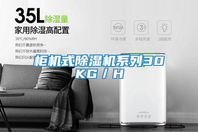 柜机式泡芙短视频APP官方下载地址系列30KG/H